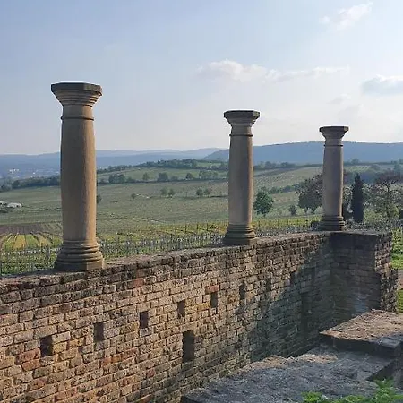 Ernst Im Herzen Des Pfaelzerwaldes Mit Kueche Gasthuis