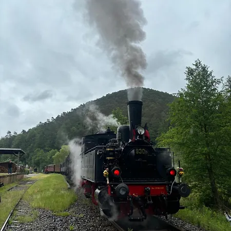 Ernst Im Herzen Des Pfaelzerwaldes Mit Kueche Gasthuis
