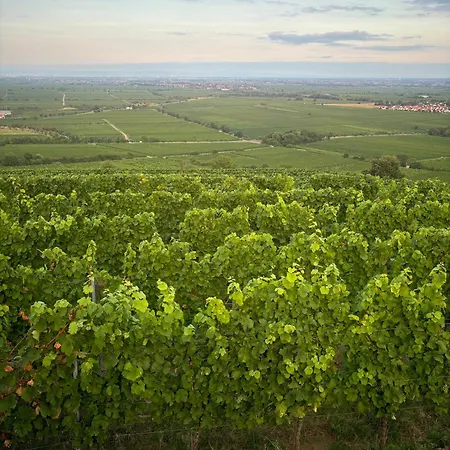 Maison d'hôtes Pension Ernst Im Herzen Des Pfaelzerwaldes Mit Kueche