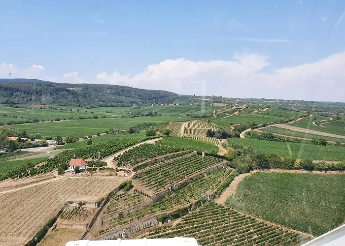 Pension Ernst Im Herzen Des Pfaelzerwaldes Mit Kueche 3* Elmstein