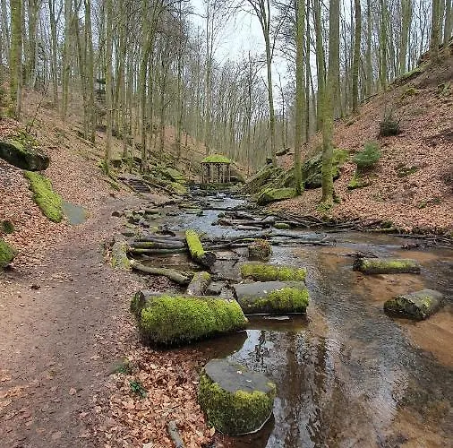 Ernst Im Herzen Des Pfälzerwaldes Mit Küche Pensión