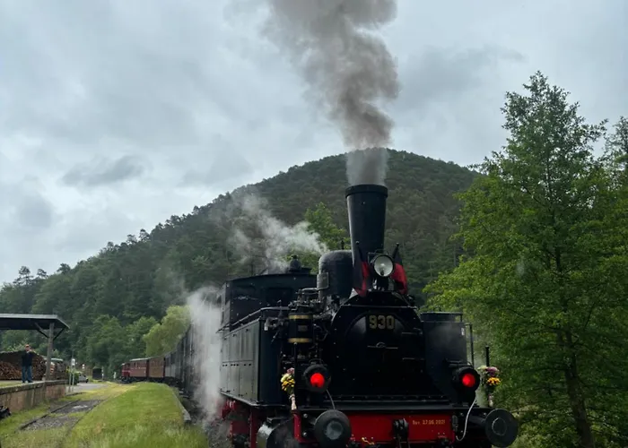 Pension Ernst Im Herzen Des Pfaelzerwaldes Mit Kueche Maison d'hôtes