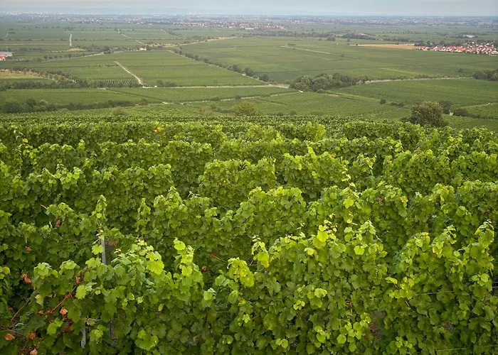 Maison d'hôtes Pension Ernst Im Herzen Des Pfaelzerwaldes Mit Kueche
